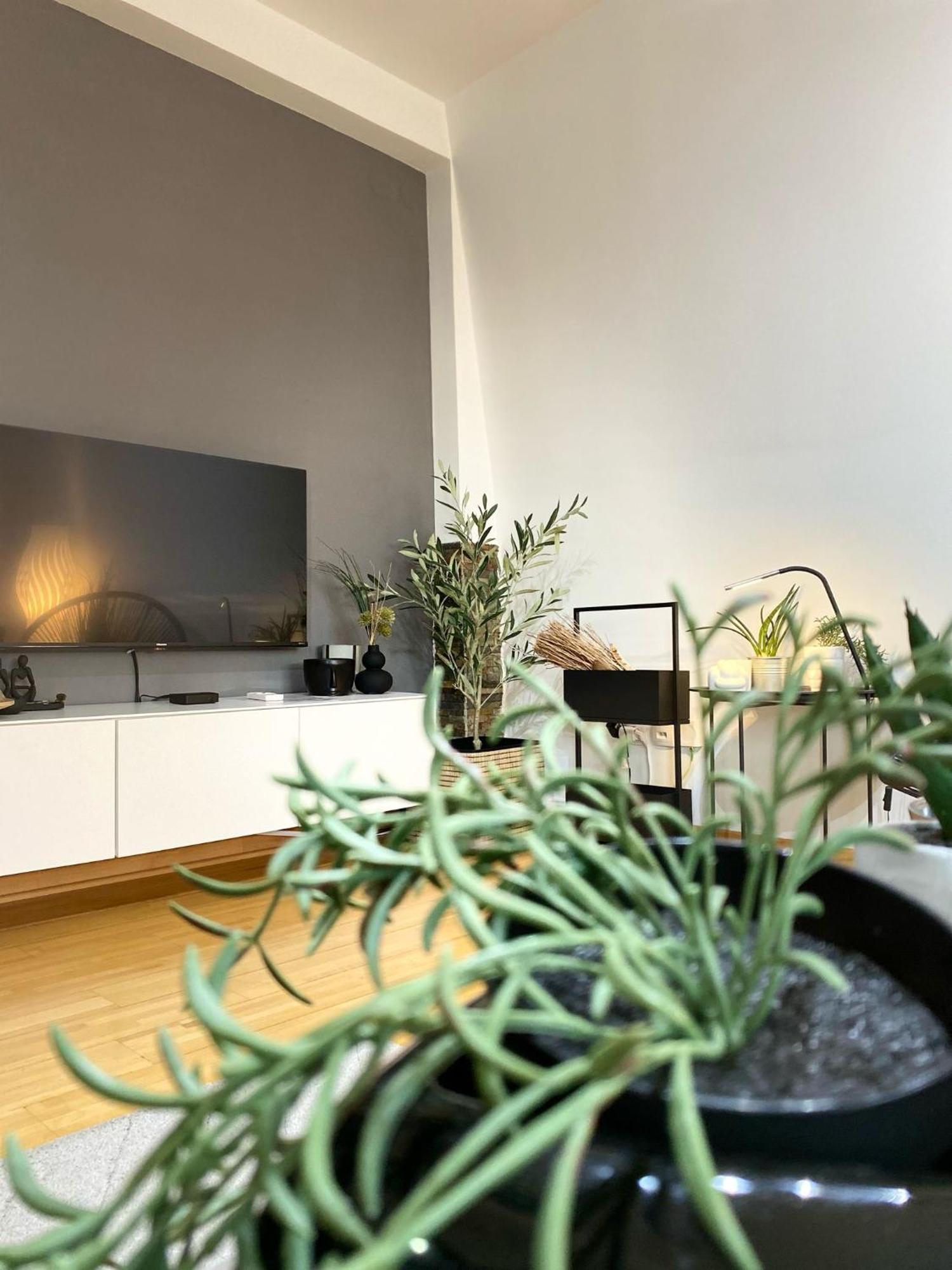 Apartman Riva Kraljevo Exteriér fotografie